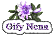 Gify-obrázky-přáníčka