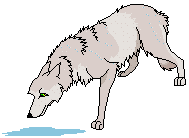 vlk